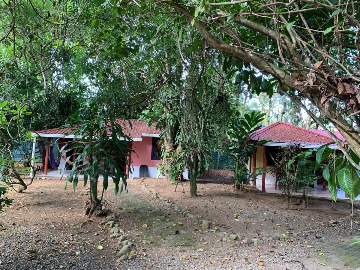 Brigitte'S Ranch Cahuita Exterior foto