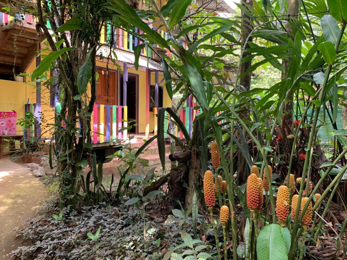 Brigitte'S Ranch Cahuita Exterior foto