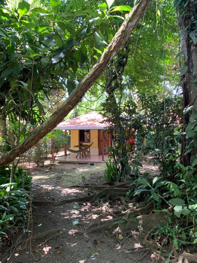 Brigitte'S Ranch Cahuita Exterior foto