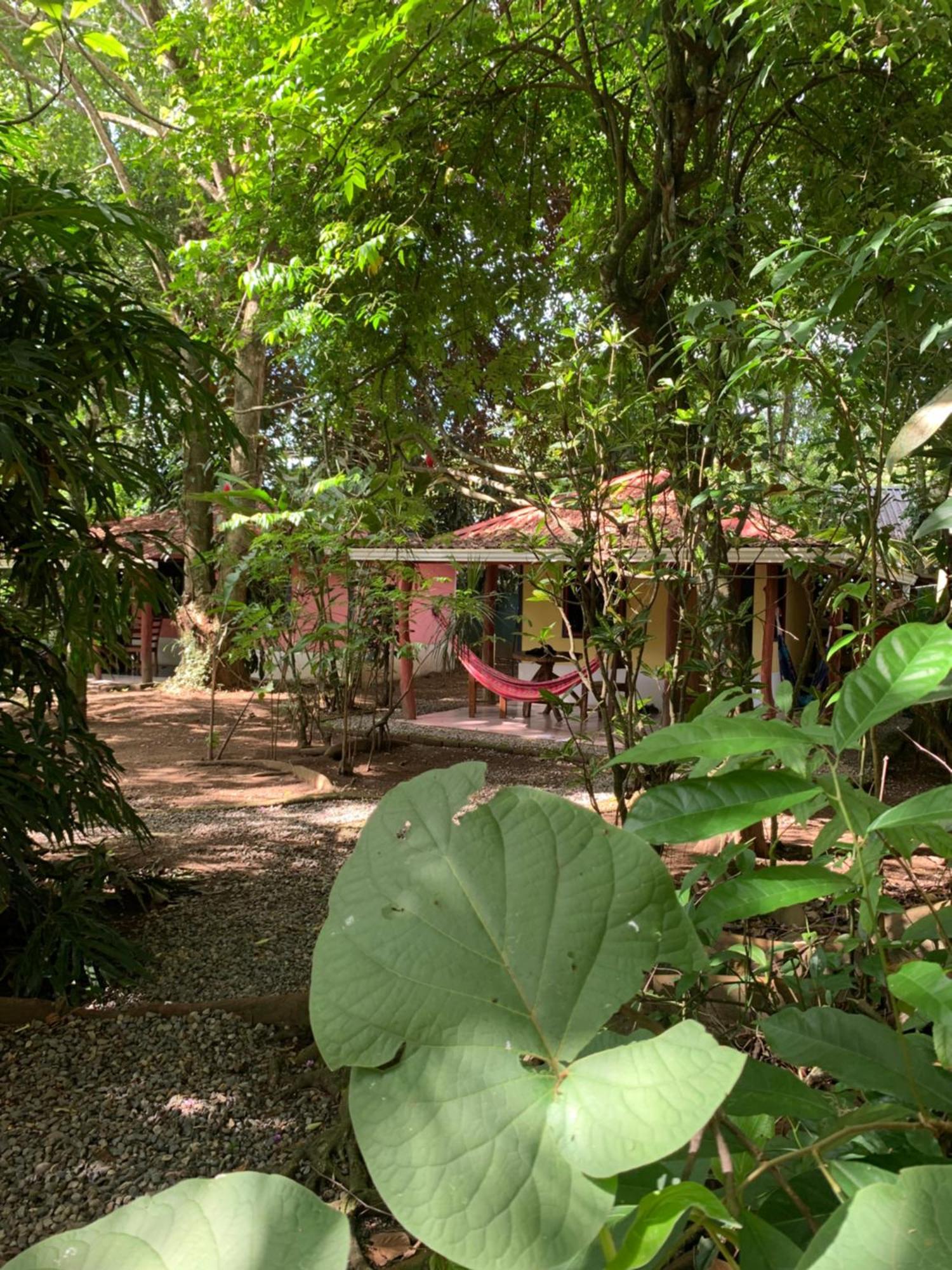 Brigitte'S Ranch Cahuita Exterior foto