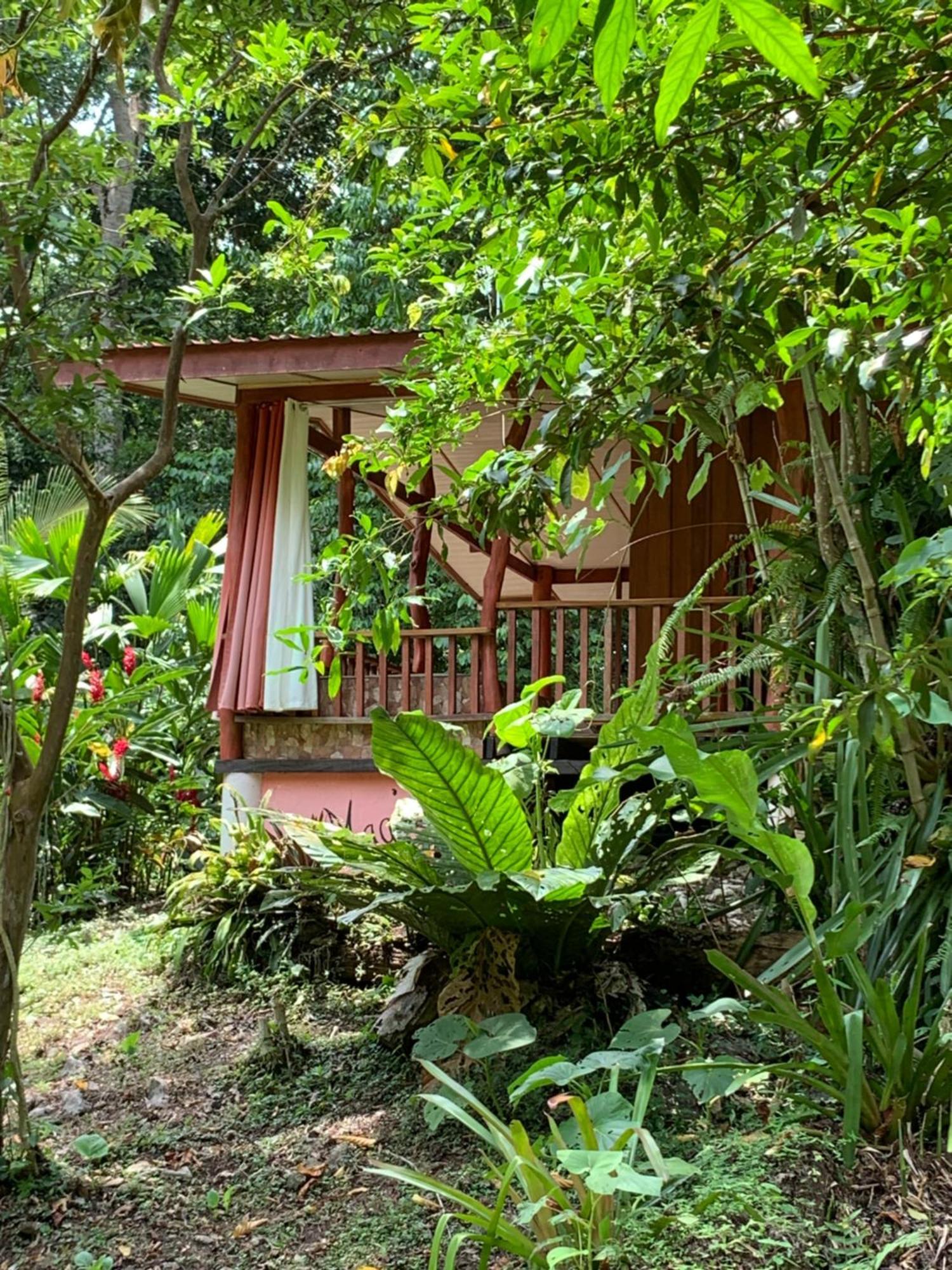 Brigitte'S Ranch Cahuita Exterior foto