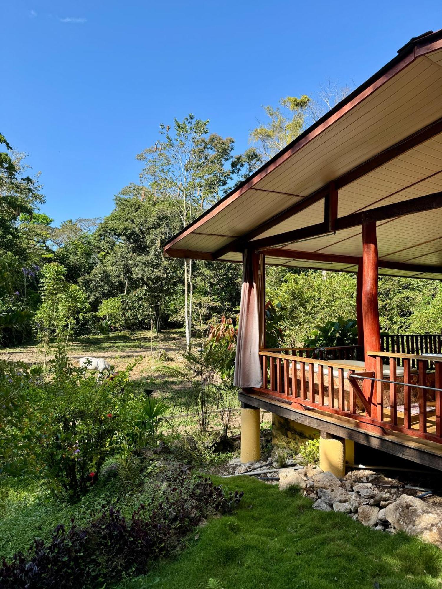 Brigitte'S Ranch Cahuita Exterior foto