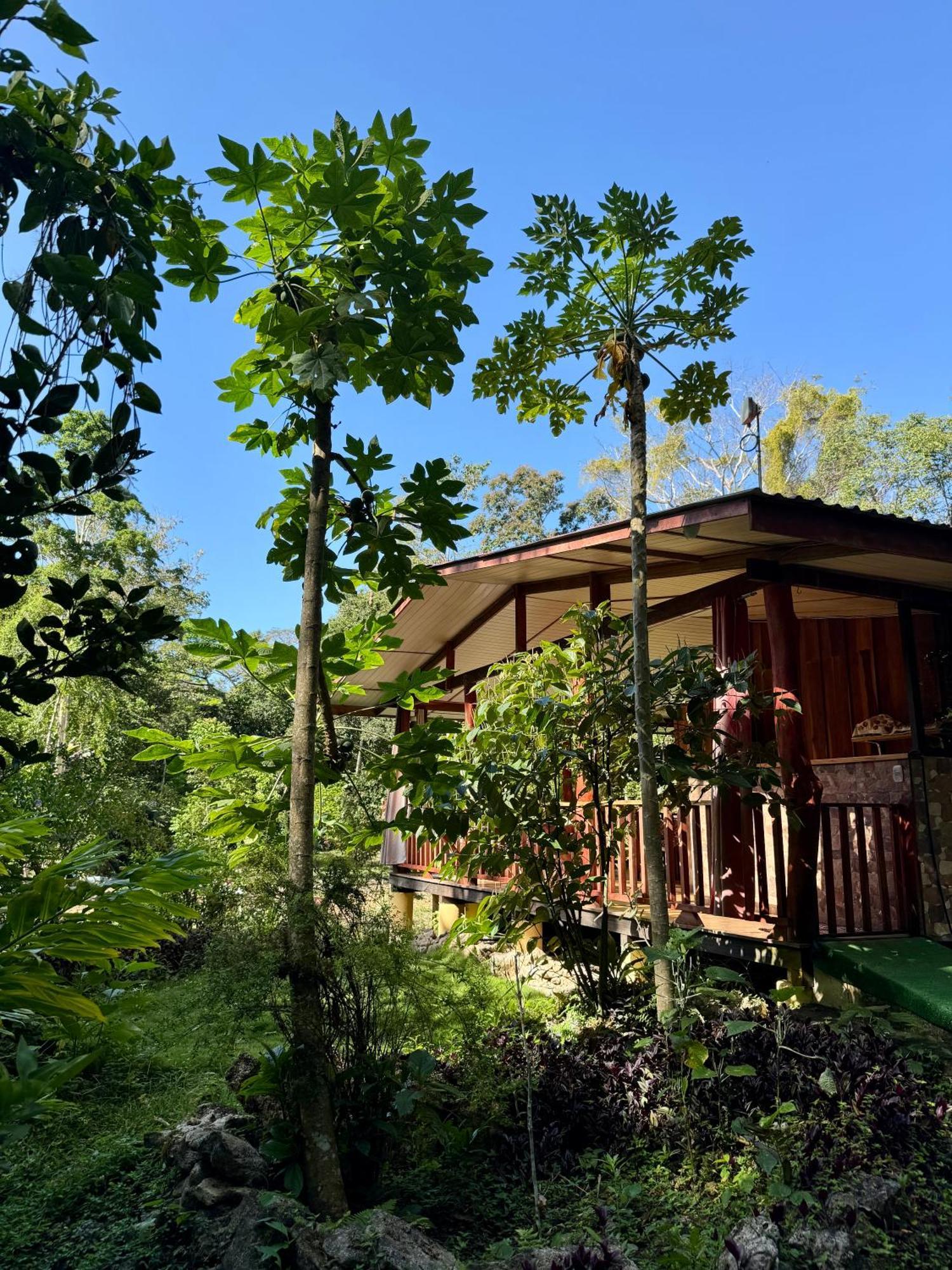 Brigitte'S Ranch Cahuita Exterior foto
