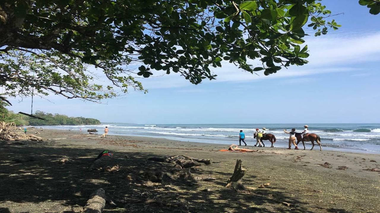 Brigitte'S Ranch Cahuita Exterior foto