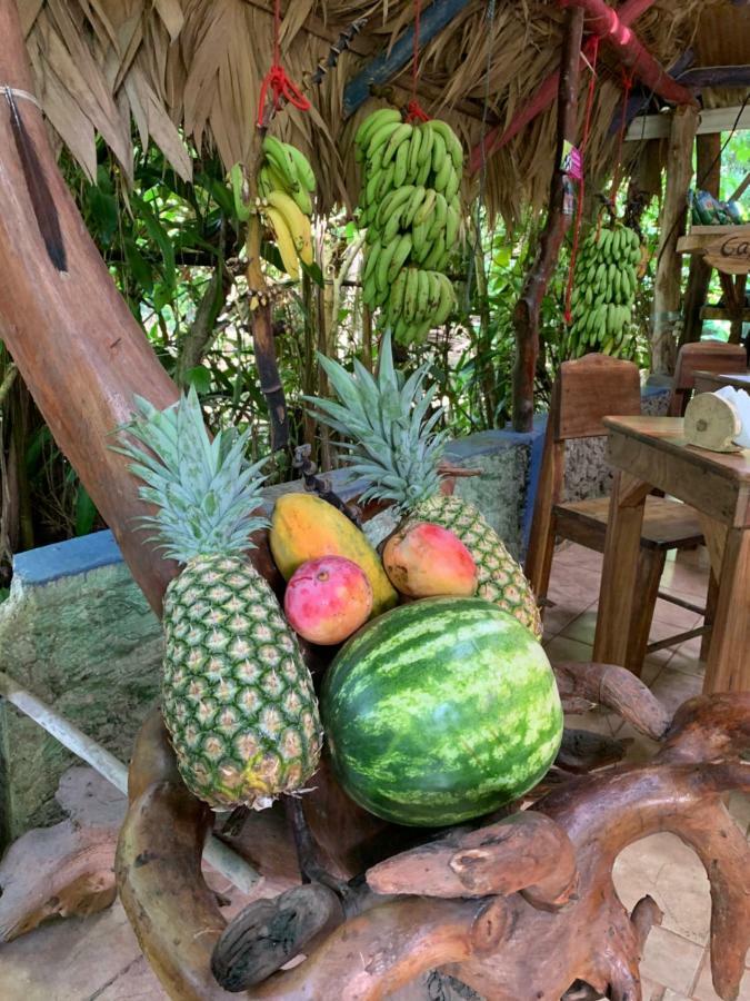 Brigitte'S Ranch Cahuita Exterior foto